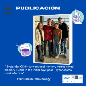 “Bystander CD8+ conventional memory versus virtual memory T cells in the initial days post- Trypanosoma cruzi infection* infection”*