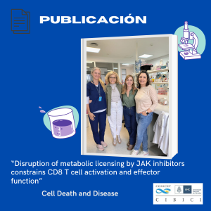  “Disruption of metabolic licensing by JAK inhibitors constrains CD8 T cell activation and effector function”