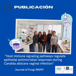  “Host immune signaling pathways regulate epithelial antimicrobial responses during Candida albicans vaginal infection”