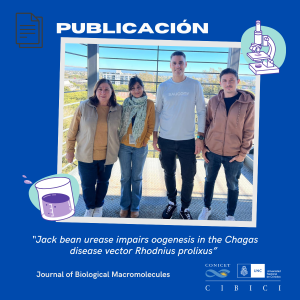 🦟 “Jack bean urease impairs oogenesis in the Chagas disease vector Rhodnius prolixus”