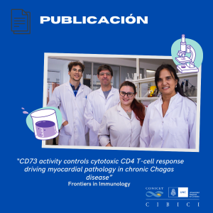 🫀 “CD73 activity controls cytotoxic CD4 T-cell response driving myocardial pathology in chronic Chagas disease”