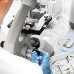 Micología de alimentos y micotoxicología