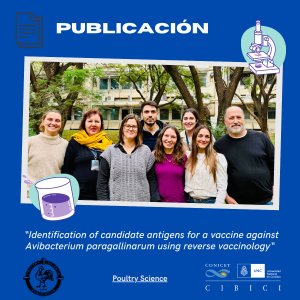🐔🧬 “Identification of candidate antigens for a vaccine against Avibacterium paragallinarum using reverse vaccinology”