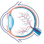 Neovascularización y Neurodegeneración ocular