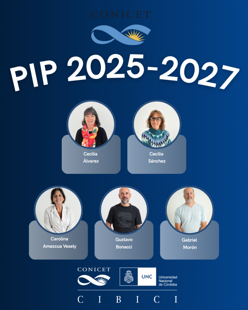 Proyectos de Investigación Plurianuales