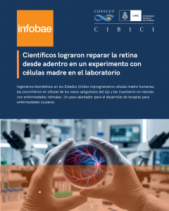 INFOBAE 